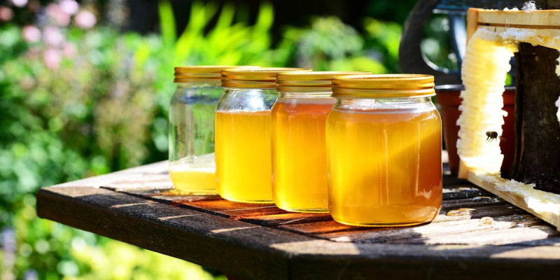 Le miel bio auvergnat, un nectar aux multiples vertus