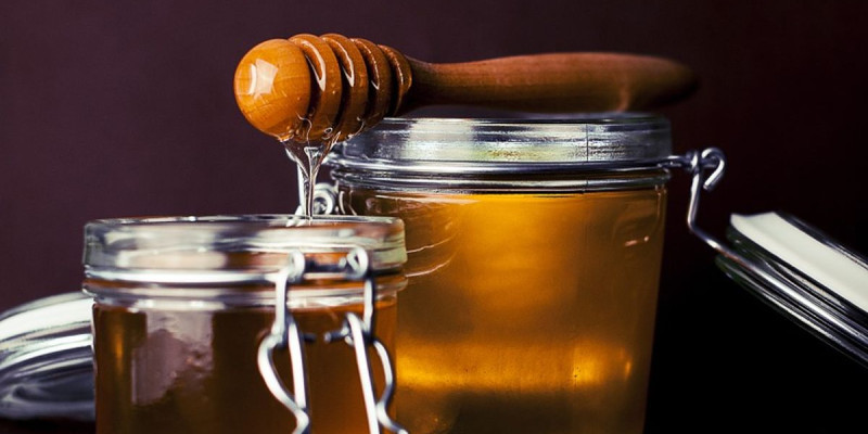 Miel de sapin, miel de bruyère : des compositions uniques